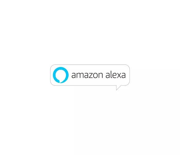 Works with Amazon picto